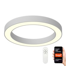 Immax NEO 07096L - LED Dimmable ceiling light PASTEL LED/66W/230V 95 + RC Tuya