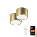 Immax Neo 07127L-BD - Pack 2x LED Ceiling light RONDATE golden 2xLED/12W/230V + RC Tuya