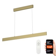 Immax Neo 07128L - LED  Dimmable chandelier on a string LISTON gold LED/18W/230V ZigBee + remote control Tuya
