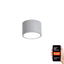 Immax NEO 07143-GR15X - LED Dimmable ceiling light RONDATE LED/12W/230V Tuya grey