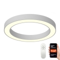 Immax NEO 07144-GR95 - LED Dimmable ceiling light PASTEL LED/66W/230V Tuya grey + remote control