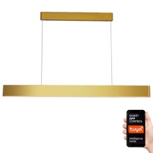 Immax NEO 07157-G120X - LED RGBW Dimmable chandelier on a string MILANO LED/40W/230V Tuya gold