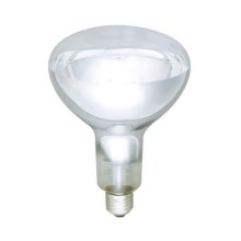 Infra bulb E27/250W/230V