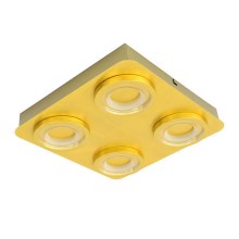 ITALUX - LED Ceiling light AURORE 4xLED/20W/230V