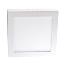 LED Attached panel LED/6W/4000K square
