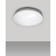 LED Bathroom ceiling light CIRCLE LED/12W/230V 4000K d. 25 cm IP44 white