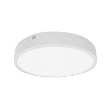 LED Bathroom ceiling light EGON LED/16W/230V IP44 4000K