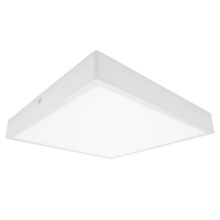 LED Bathroom ceiling light EGON LED/30W/230V IP44 3000K