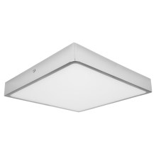 LED Bathroom ceiling light EGON LED/30W/230V IP44 4000K