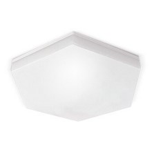 LED Bathroom ceiling light HEXAN LED/24W/230V IP54