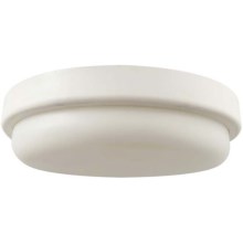 LED Bathroom ceiling light LED/18W/230V 6500K IP54