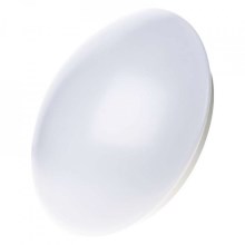 LED Bathroom ceiling light LED/18W/230V IP44