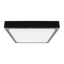 LED Bathroom ceiling light LED/24W/230V 3000K IP44 black