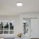LED Bathroom ceiling light LED/24W/230V 6500K IP44 black