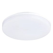 LED Bathroom ceiling light LED/24W/230V IP54