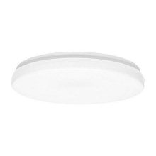 LED Bathroom ceiling light LIRA LED/12W/230V 4000K d. 24 cm IP44
