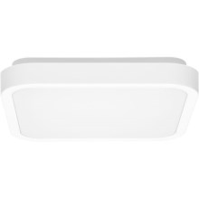 LED Bathroom ceiling light LUKY LED/12W/230V 4000K 25x25 cm IP44 white