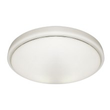 LED Bathroom ceiling light PEPE LED/20W/230V IP44
