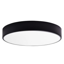 LED Bathroom ceiling light RENE LED/15W/230V IP44 black