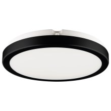LED Bathroom ceiling light VERA LED/24W/230V 4000K IP65 black