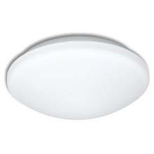 LED Bathroom ceiling light VICTOR LED/18W/230V IP44