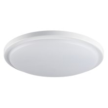 LED Bathroom ceiling light with a sensor ORTE LED/24W/230V IP54