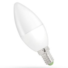 LED Bulb E14/6W/230V 6000K