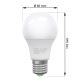 LED Bulb ECOLINE A60 E27/10W/230V 6,500K - Brilagi