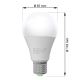 LED Bulb ECOLINE A65 E27/15W/230V 3000K - Brilagi