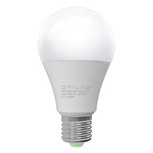 LED Bulb ECOLINE A65 E27/15W/230V 6500K - Brilagi