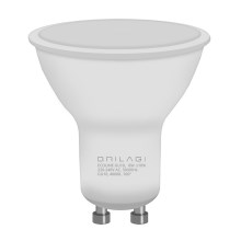 LED Bulb ECOLINE GU10/6W/230V 4,000K - Brilagi