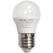 LED Bulb G45 E27/6W/230V 2700K