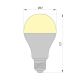 LED Bulb LEDSTAR ECO E27/12W/230V 3000K