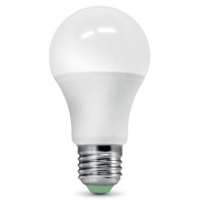 LED Bulb with a dusk sensor ECOLINE A60 E27/9W/230V 3000K -  Brilagi