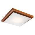 LED Ceiling light 1xLED/12W/230V pine - FSC certified