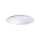 LED Ceiling light AVESTA LED/18W/230V 4000K IP54