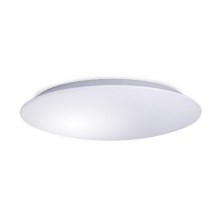 LED Ceiling light AVESTA LED/28W/230V IP54