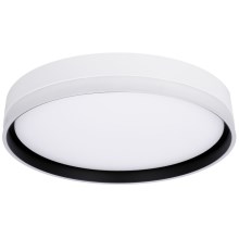 LED Ceiling light FLORIDA LED/24W/230V white