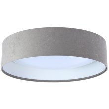 LED Ceiling light GALAXY 1xLED/24W/230V d. 44 cm grey/white