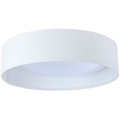 LED Ceiling light GALAXY LED/24W/230V d. 44 cm white