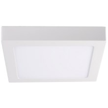 LED Ceiling light KANTI LED/18W/230V 3000K white
