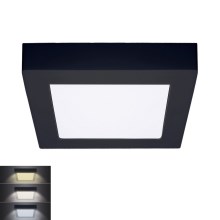 LED Ceiling light LED/12W/230V 3000/4000/6000K black angular