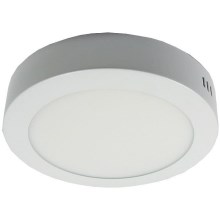 LED ceiling light LED/12W/230V 3000K