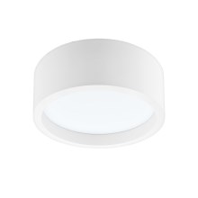 LED Ceiling light LED/21W/230V pine