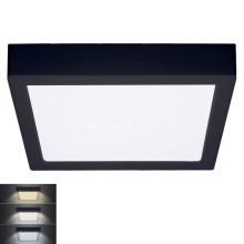 LED Ceiling light LED/24W/230V 3000/4000/6000K black angular