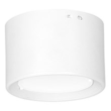 LED Ceiling light LED/6W/230V white d. 8 cm