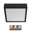 LED Ceiling light NEXXO LED/12,5W/230V 3000/3500/4000K 17x17 cm black