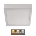 LED Ceiling light NEXXO LED/12,5W/230V 3000/3500/4000K 17x17 cm white