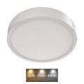 LED Ceiling light NEXXO LED/21W/230V 3000/3500/4000K d. 22,5 cm white