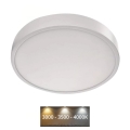 LED Ceiling light NEXXO LED/28,5W/230V 3000/3500/4000K d. 30 cm white